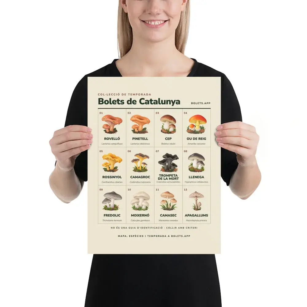 Dona sostenint la làmina «Bolets de Catalunya» amb dotze bolets il·lustrats